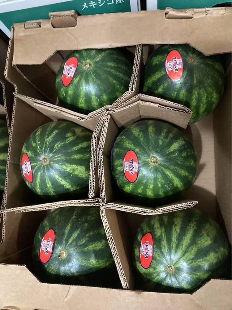 811.メキシコ西瓜　すいか　スイカ　1ケース6玉入り Amazon | すいか うり坊 秀品 3～6玉 7kg 長崎県産 小玉すいか